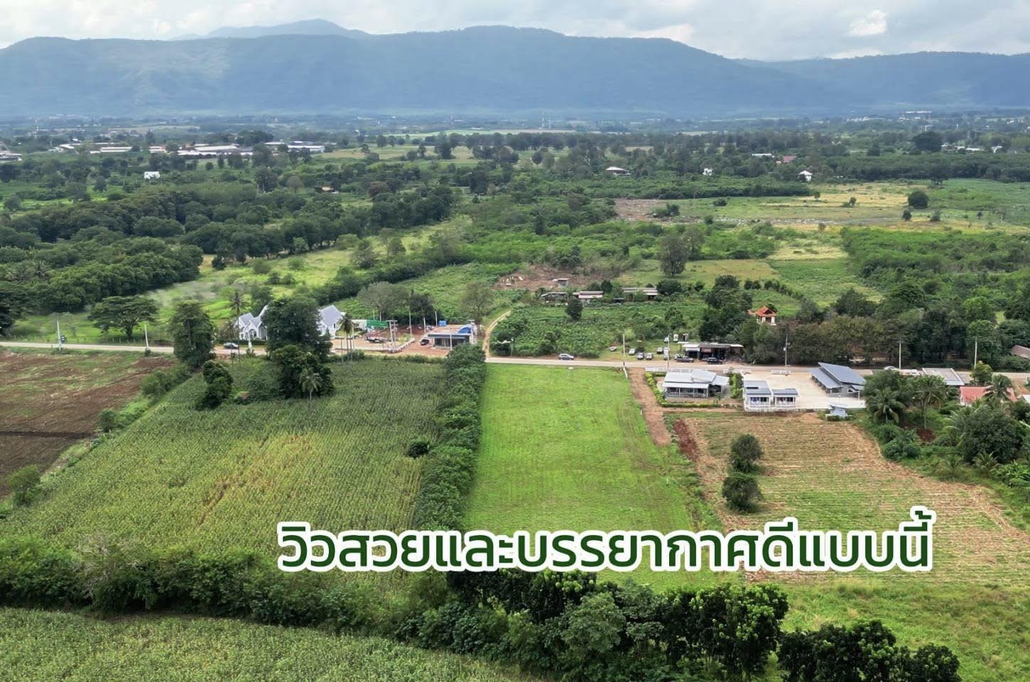 ที่ดิน 5 ไร่ สระน้ำใส - Image 3