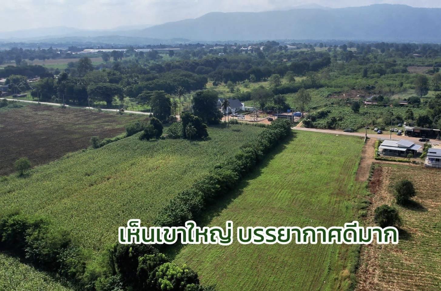 ที่ดิน 5 ไร่ สระน้ำใส - Image 4